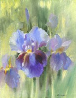 /album/sylvie-vernageau1/iris-bleu-huile-sur-bois-30x40-cm-jpg/